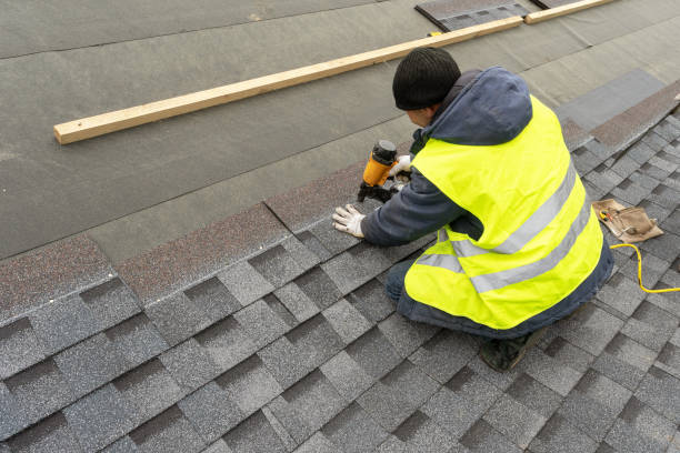 Best Roof Gutter Cleaning  in Canton, GA